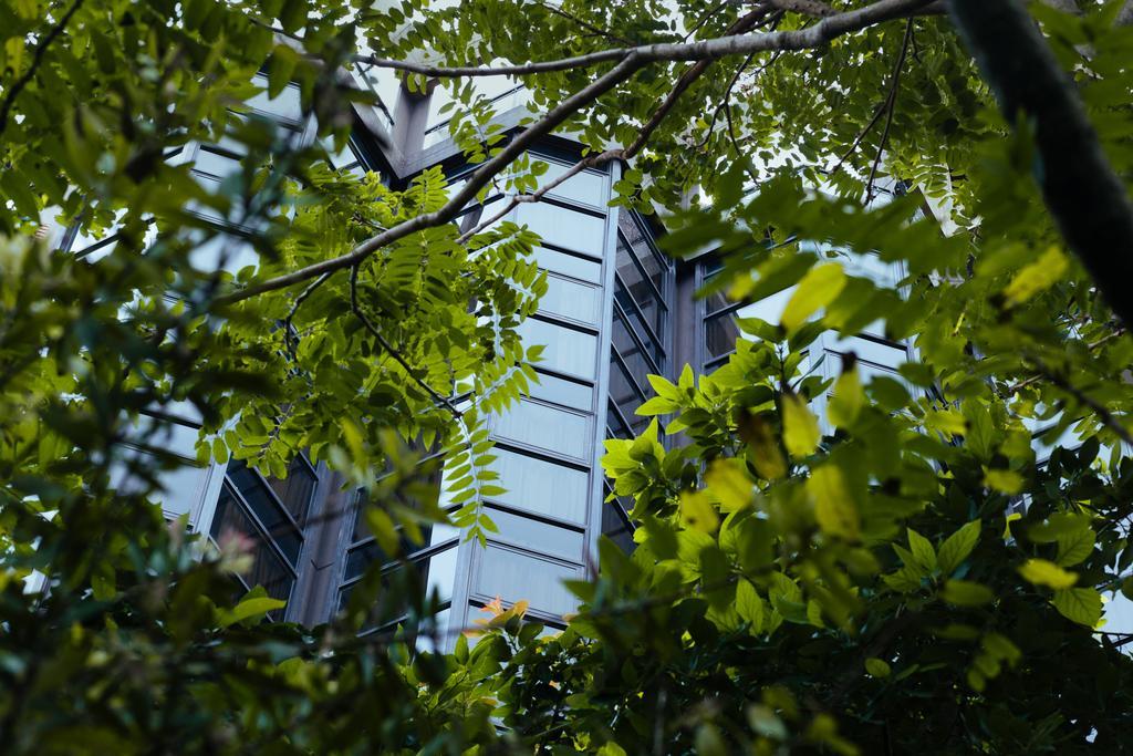 Primacy Apart Hotel Мар-дель-Плата Екстер'єр фото
